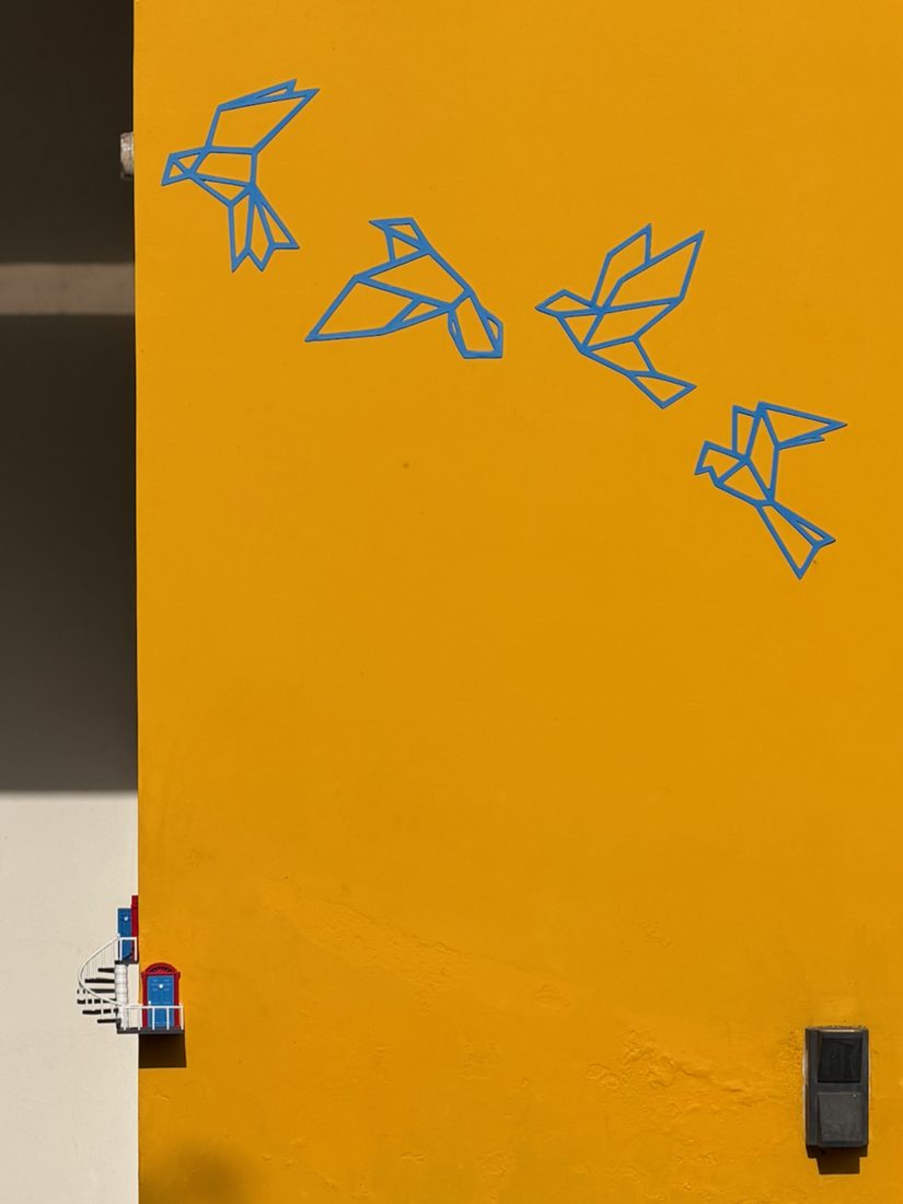 Origami & paper