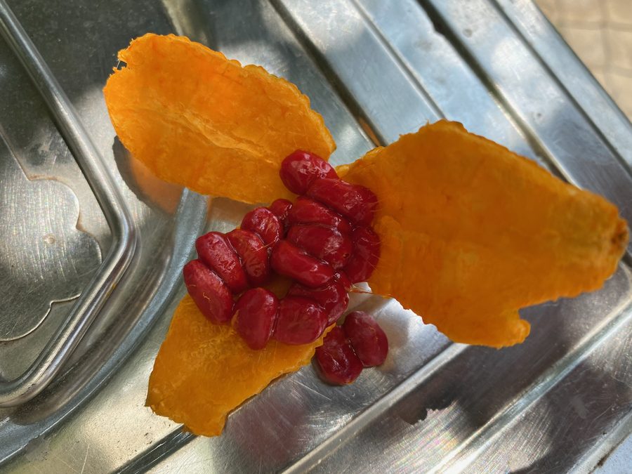 Fresh turmeric