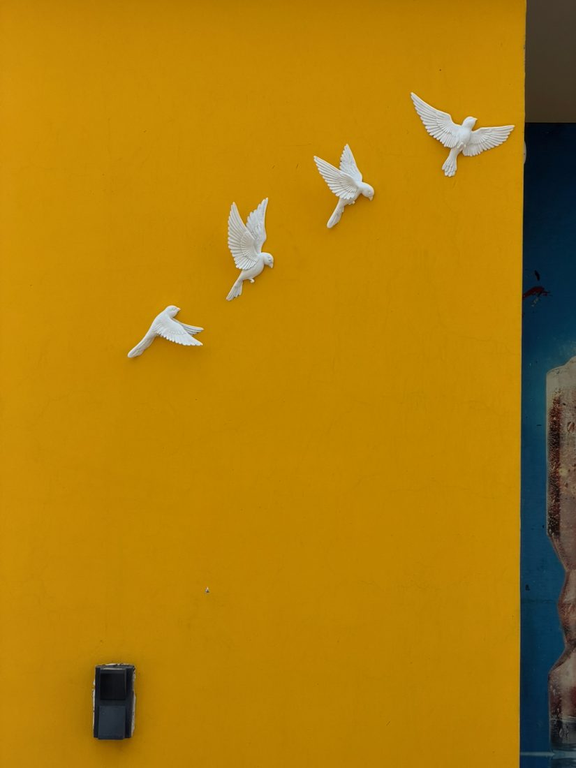 Birds taking flight, on the wall