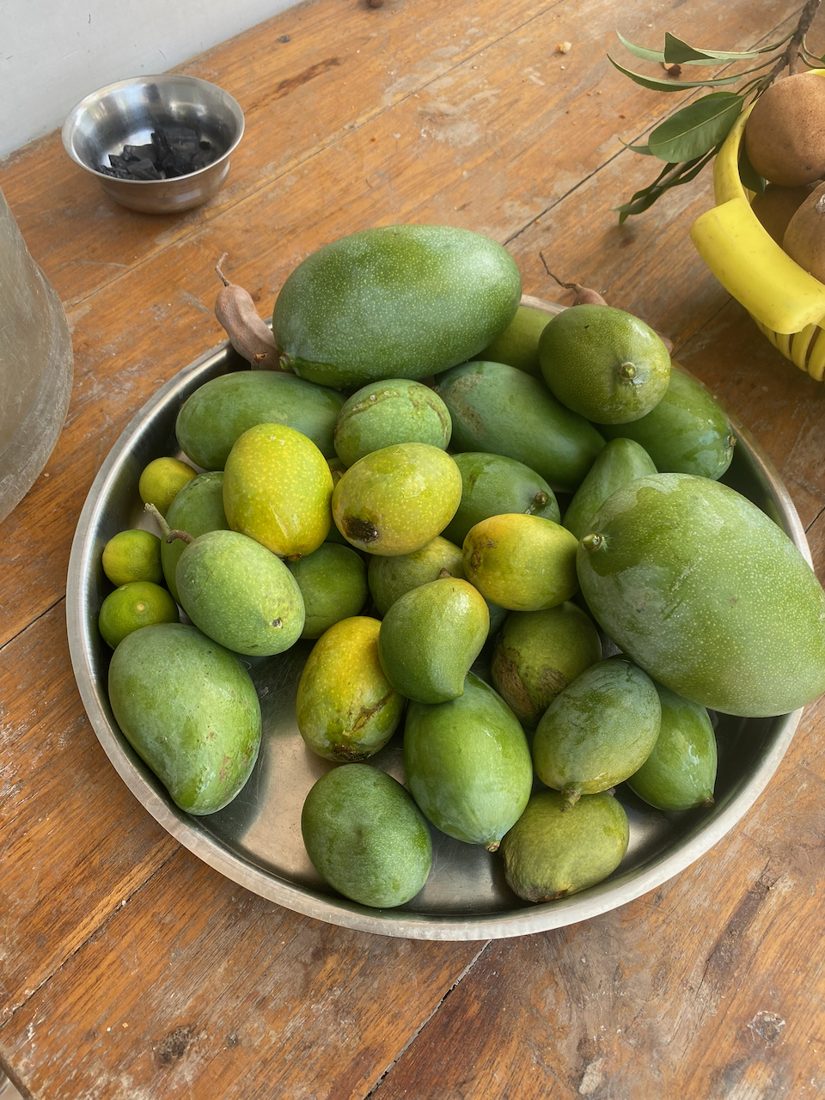 A bowl of the day's mangoes